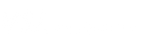 Voice Spark Live
