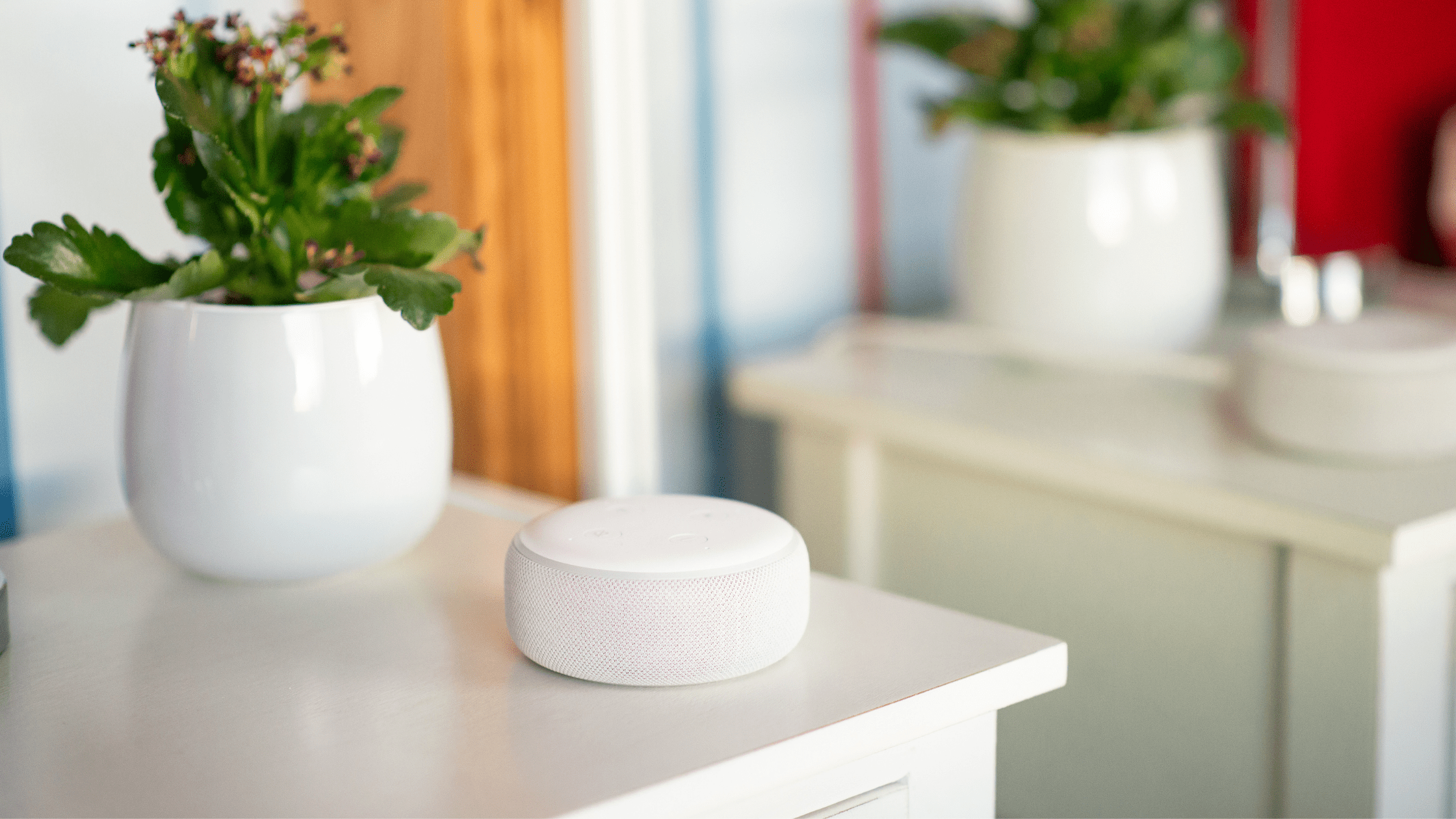 Picture of a bedside table with plant and Amazon Alexa Echo Dot smart speaker